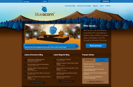 自然風韻 融合生態美學的網頁設計案例展示